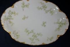 HAVILAND APPLE BLOSSOM SCH 61L- OVAL SERVING PLATTER 13 5/8 ..... https://www.jaapiesfinechinastore.com