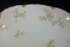 HAVILAND APPLE BLOSSOM SCH 61L- OVAL SERVING PLATTER 13 5/8 ..... https://www.jaapiesfinechinastore.com