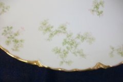 HAVILAND APPLE BLOSSOM SCH 61L- OVAL SERVING PLATTER 13 5/8 ..... http://jaapiesfinechinastore.com