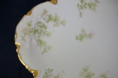 HAVILAND APPLE BLOSSOM SCH 61L- OVAL SERVING PLATTER 13 5/8 ..... https://www.jaapiesfinechinastore.com