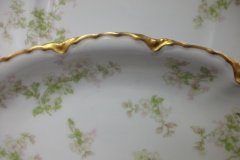 HAVILAND APPLE BLOSSOM SCH 61L- RELISH DISH  8 3/8" ..... http://jaapiesfinechinastore.com