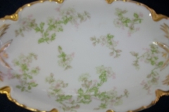 HAVILAND APPLE BLOSSOM SCH 61L- RELISH DISH  8 3/8" ..... https://www.jaapiesfinechinastore.com