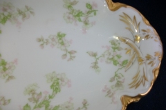 HAVILAND APPLE BLOSSOM SCH 61L- RELISH DISH  8 3/8" ..... https://www.jaapiesfinechinastore.com