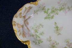 HAVILAND APPLE BLOSSOM SCH 61L- RELISH DISH  8 3/8" ..... https://www.jaapiesfinechinastore.com