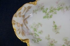 HAVILAND APPLE BLOSSOM SCH 61L- RELISH DISH  8 3/8" ..... http://jaapiesfinechinastore.com