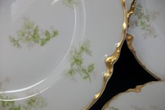 HAVILAND APPLE BLOSSOM SCH 61L- SALAD PLATE 7 3/8" ..... http://jaapiesfinechinastore.com