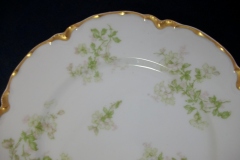 HAVILAND APPLE BLOSSOM SCH 61L- SALAD PLATE 7 3/8" ..... https://www.jaapiesfinechinastore.com