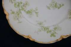 HAVILAND APPLE BLOSSOM SCH 61L- SALAD PLATE 7 3/8" ..... https://www.jaapiesfinechinastore.com