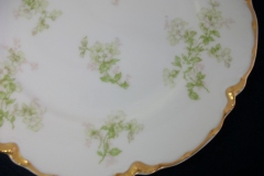 HAVILAND APPLE BLOSSOM SCH 61L- SALAD PLATE 7 3/8" ..... https://www.jaapiesfinechinastore.com