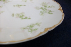 HAVILAND APPLE BLOSSOM SCH 61L- SALAD PLATE 7 3/8" ..... https://www.jaapiesfinechinastore.com