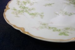 HAVILAND APPLE BLOSSOM SCH 61L- SALAD PLATE 7 3/8" ..... http://jaapiesfinechinastore.com