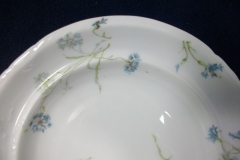 HAVILAND BLUE CORNFLOWER-  PLATE FOR COVERED BUTTER DISH ..... https://www.jaapiesfinechinastore.com