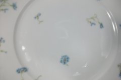 HAVILAND BLUE CORNFLOWER- DINNER PLATE 10 1/8" ..... http://jaapiesfinechinastore.com