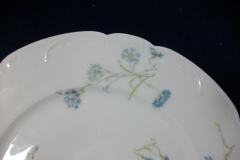 HAVILAND BLUE CORNFLOWER- DINNER PLATE 10 1/8" ..... https://www.jaapiesfinechinastore.com