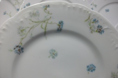 HAVILAND BLUE CORNFLOWER- LUNCHEON  PLATE 9 1/8" ..... https://www.jaapiesfinechinastore.com