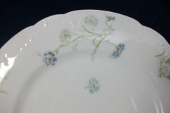 HAVILAND BLUE CORNFLOWER- LUNCHEON  PLATE 9 1/8" ..... https://www.jaapiesfinechinastore.com