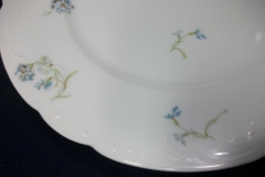 HAVILAND BLUE CORNFLOWER- LUNCHEON  PLATE 9 1/8" ..... https://www.jaapiesfinechinastore.com