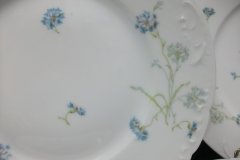 HAVILAND BLUE CORNFLOWER- SALAD PLATE 8 1/8" ..... http://jaapiesfinechinastore.com