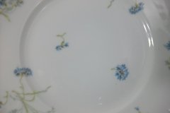 HAVILAND BLUE CORNFLOWER- SALAD PLATE 8 1/8" ..... http://jaapiesfinechinastore.com