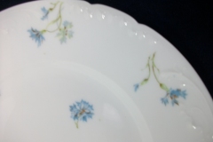 HAVILAND BLUE CORNFLOWER- SALAD PLATE 8 1/8" ..... https://www.jaapiesfinechinastore.com