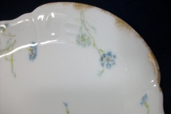 HAVILAND BLUE CORNFLOWER- SERVING PLATTER 14" ..... https://www.jaapiesfinechinastore.com