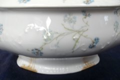HAVILAND BLUE CORNFLOWER- SOUP TUREEN ..... http://jaapiesfinechinastore.com