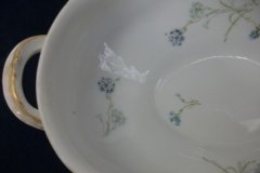 HAVILAND BLUE CORNFLOWER- SOUP TUREEN ..... http://jaapiesfinechinastore.com
