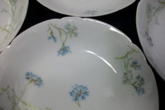 HAVILAND BLUE CORNFLOWER-  BERRY BOWL ..... https://www.jaapiesfinechinastore.com