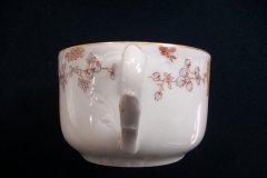 HAVILAND CFH-GDM AUTUMN-  CUP & SAUCER  .....   http://jaapiesfinechinastore.com