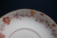 HAVILAND CFH-GDM AUTUMN-  CUP & SAUCER  .....   http://jaapiesfinechinastore.com