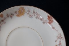 HAVILAND CFH-GDM AUTUMN-  CUP & SAUCER  .....   http://jaapiesfinechinastore.com