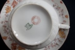 HAVILAND CFH-GDM AUTUMN-  CUP & SAUCER  .....   http://jaapiesfinechinastore.com