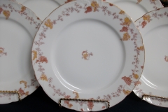 HAVILAND-CFH/GDM- AUTUMN- DINNER  PLATE  .....   https://www.jaapiesfinechinastore.com