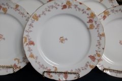 HAVILAND-CFH/GDM- AUTUMN- DINNER  PLATE  .....   http://jaapiesfinechinastore.com