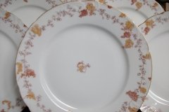 HAVILAND-CFH/GDM- AUTUMN- DINNER  PLATE  .....   http://jaapiesfinechinastore.com