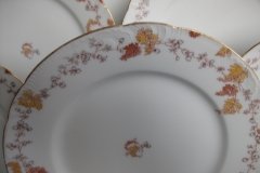 HAVILAND-CFH/GDM- AUTUMN- DINNER  PLATE  .....   http://jaapiesfinechinastore.com