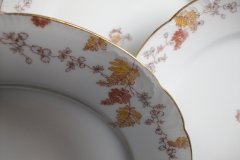 HAVILAND-CFH/GDM- AUTUMN- DINNER  PLATE  .....   http://jaapiesfinechinastore.com