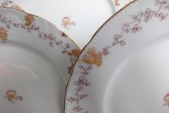 HAVILAND-CFH/GDM- AUTUMN- DINNER  PLATE  .....   http://jaapiesfinechinastore.com