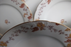 HAVILAND-CFH/GDM- AUTUMN- DINNER  PLATE  .....   https://www.jaapiesfinechinastore.com