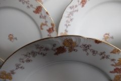 HAVILAND-CFH/GDM- AUTUMN- DINNER  PLATE  .....   http://jaapiesfinechinastore.com