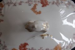 HAVILAND-CFH/GDM AUTUMN- COVERED GRAVY/SAUCE BOAT   .....   http://jaapiesfinechinastore.com