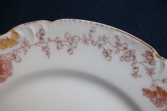 HAVILAND-CFH/GDM- AUTUMN- LUNCH PLATE  .....   https://www.jaapiesfinechinastore.com