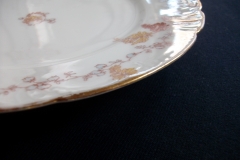 HAVILAND-CFH/GDM- AUTUMN- LUNCH PLATE  .....   https://www.jaapiesfinechinastore.com