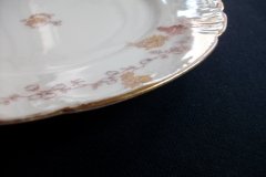 HAVILAND-CFH/GDM- AUTUMN- LUNCH PLATE  .....   http://jaapiesfinechinastore.com