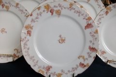 HAVILAND-CFH/GDM- AUTUMN- LUNCH PLATE  .....   http://jaapiesfinechinastore.com