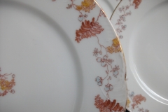 HAVILAND-CFH/GDM- AUTUMN- LUNCH PLATE  .....   https://www.jaapiesfinechinastore.com