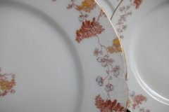 HAVILAND-CFH/GDM- AUTUMN- LUNCH PLATE  .....   http://jaapiesfinechinastore.com