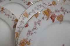 HAVILAND-CFH/GDM- AUTUMN- LUNCH PLATE  .....   http://jaapiesfinechinastore.com