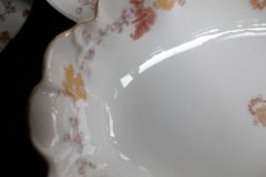 HAVILAND-CFH/GDM- AUTUMN- RELISH/SERVING BOWL .....   http://jaapiesfinechinastore.com