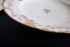 HAVILAND-CFH/GDM- AUTUMN-  RIM SOUP BOWL   .....   http://jaapiesfinechinastore.com